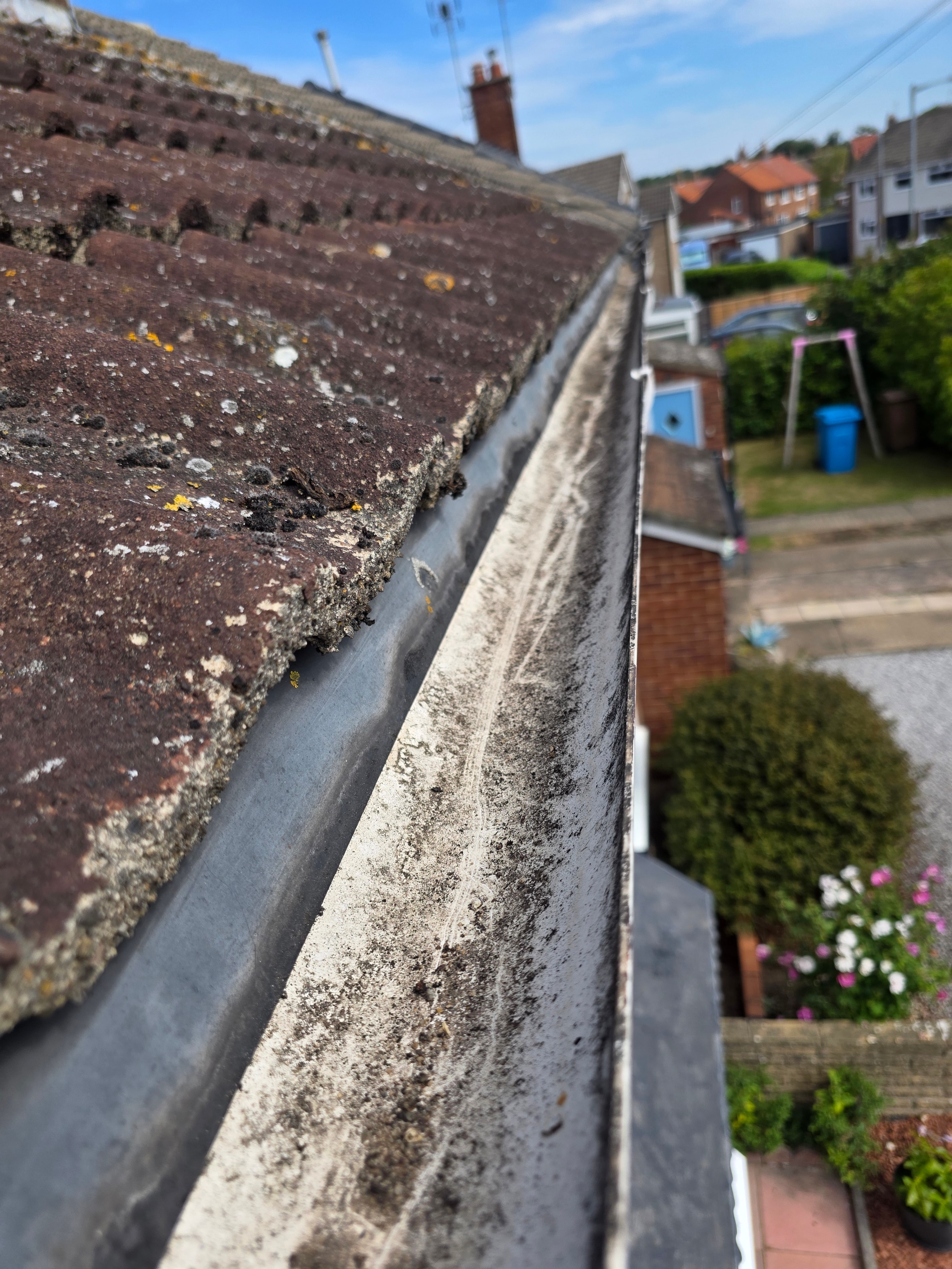 Gutter Cleaning